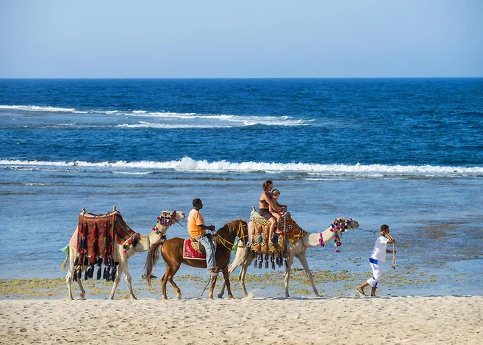 Resort Concorde Moreen 5*