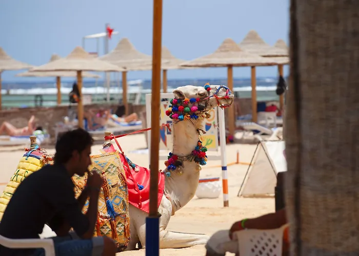 Resort Concorde Moreen Abu Dabbab